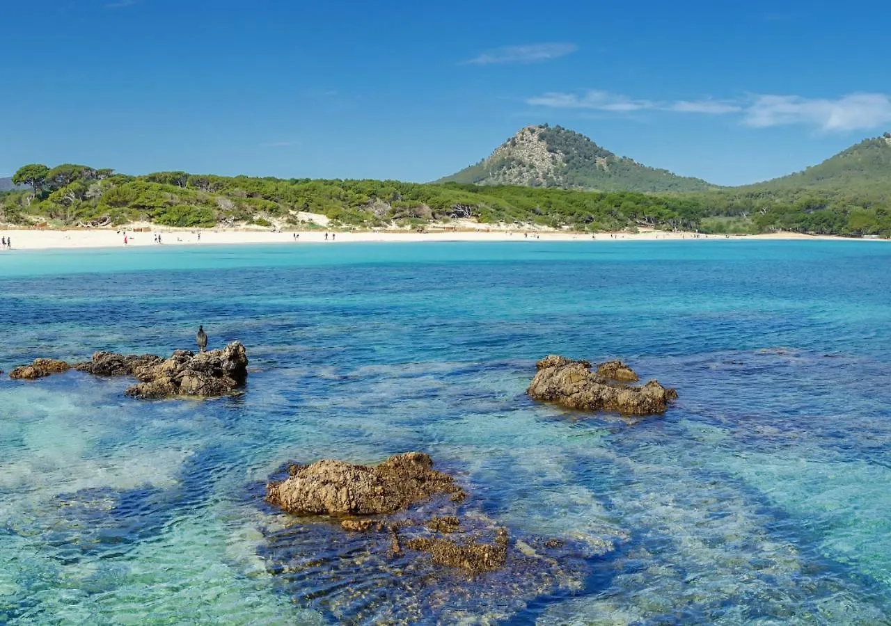 Onmood Cala Ratjada - Brunch & Party Hotel Cala Ratjada (Mallorca)